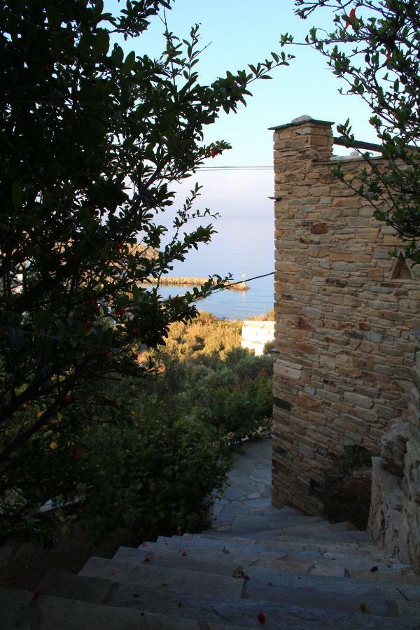 Cozy Guesthouse - Άγιος Ρομανός Εξωτερικό φωτογραφία